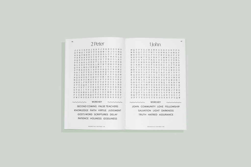 Bible Word Search for Adults (Christian Stocking Stuffer)