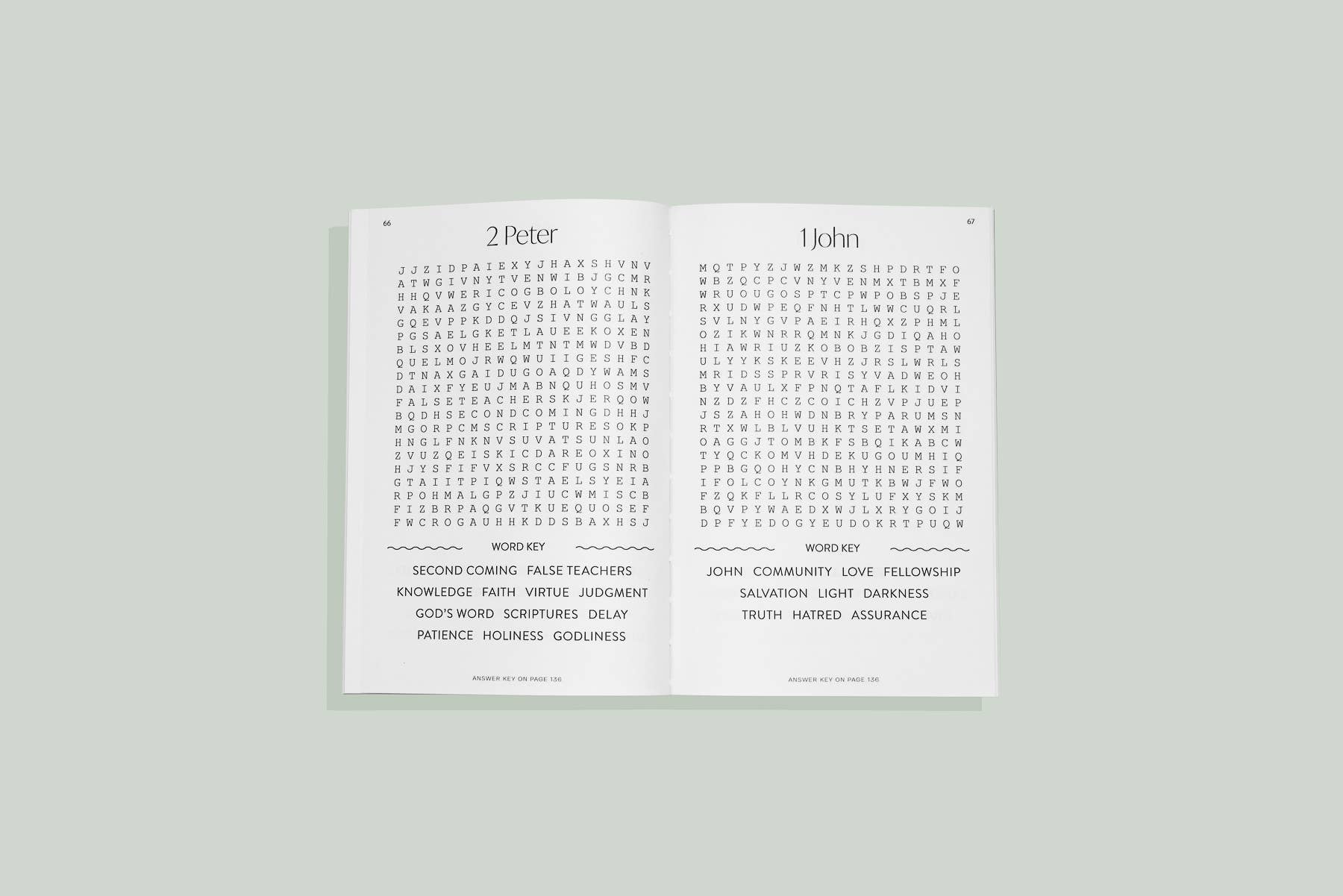 Bible Word Search for Adults (Christian Stocking Stuffer)