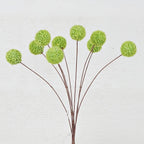 ISB75872- 16inL Billy Ball Bunch-Green