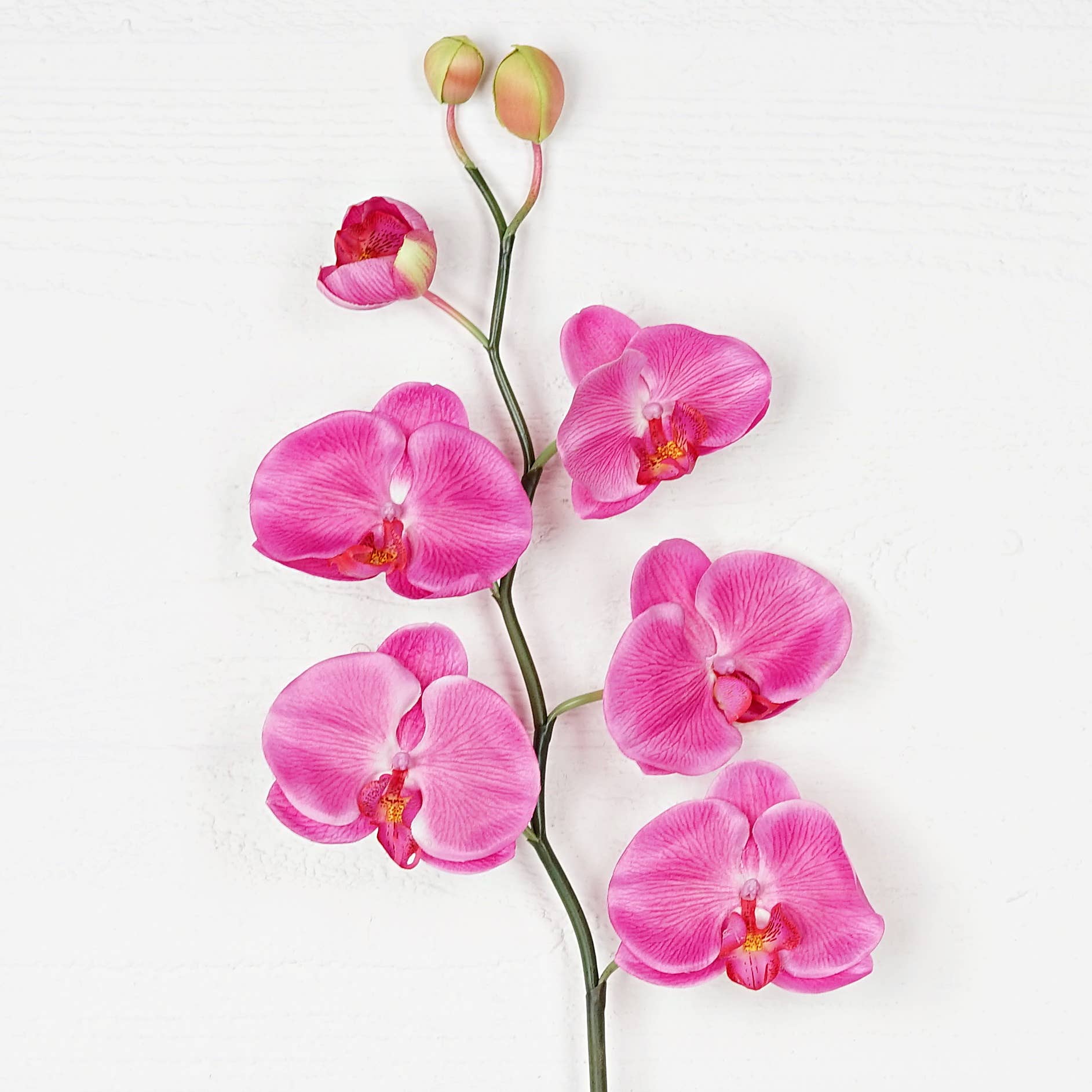 IT018PK- 34" Phalaenopsis orchid stem with leaves - Pink
