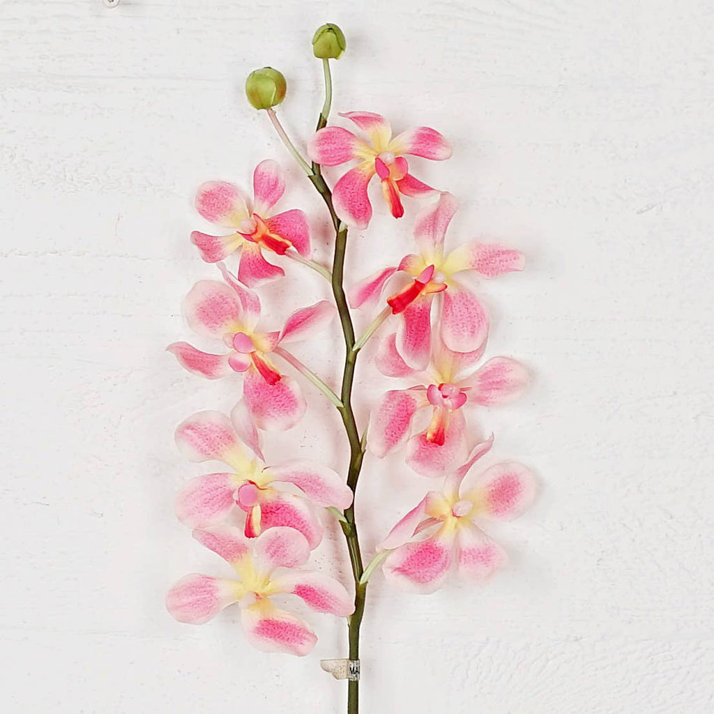IT006PK- 24" Orchid Spray- Pink