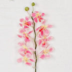 IT006PK- 24" Orchid Spray- Pink