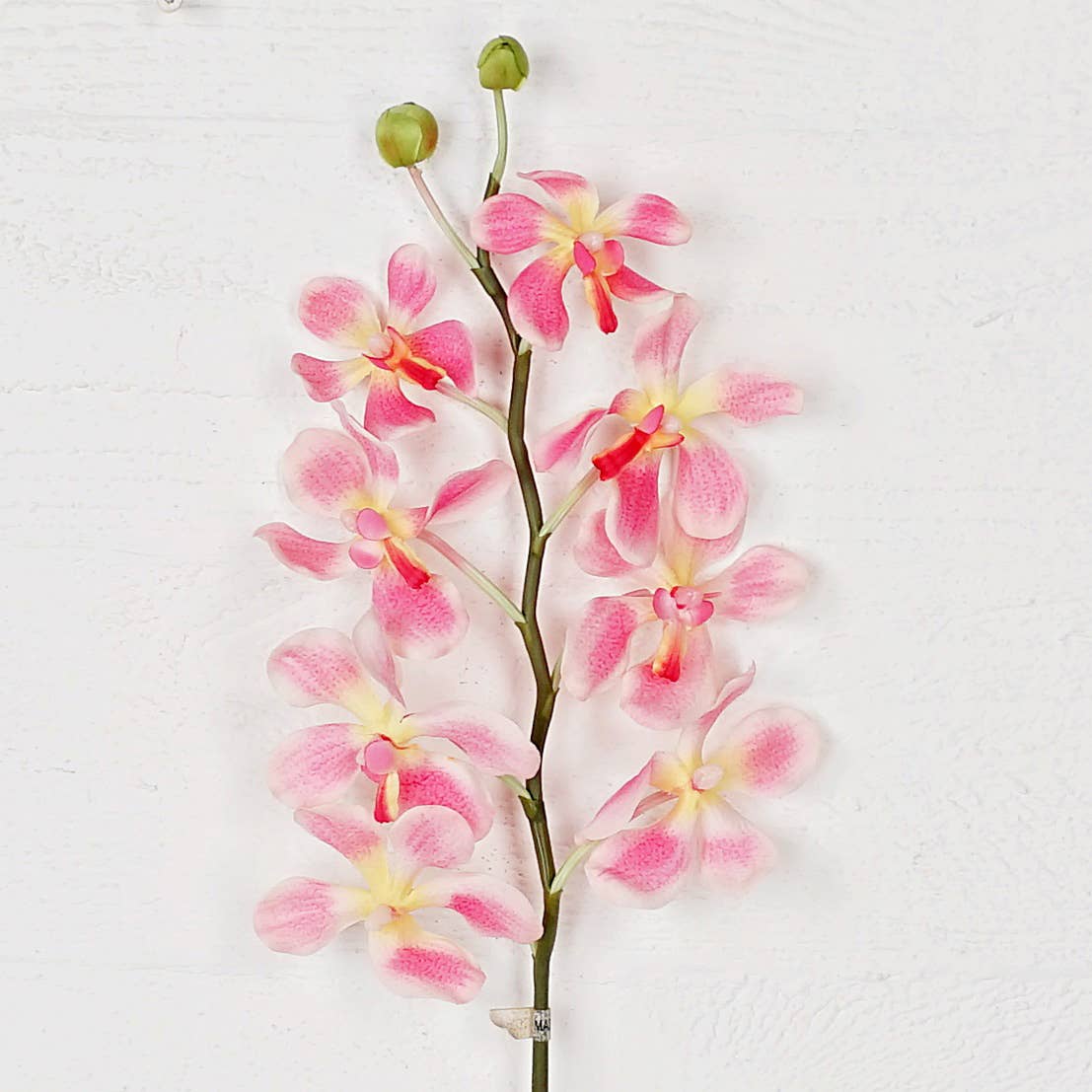 IT006PK- 24" Orchid Spray- Pink