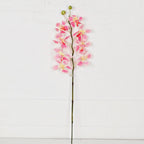 IT006PK- 24" Orchid Spray- Pink
