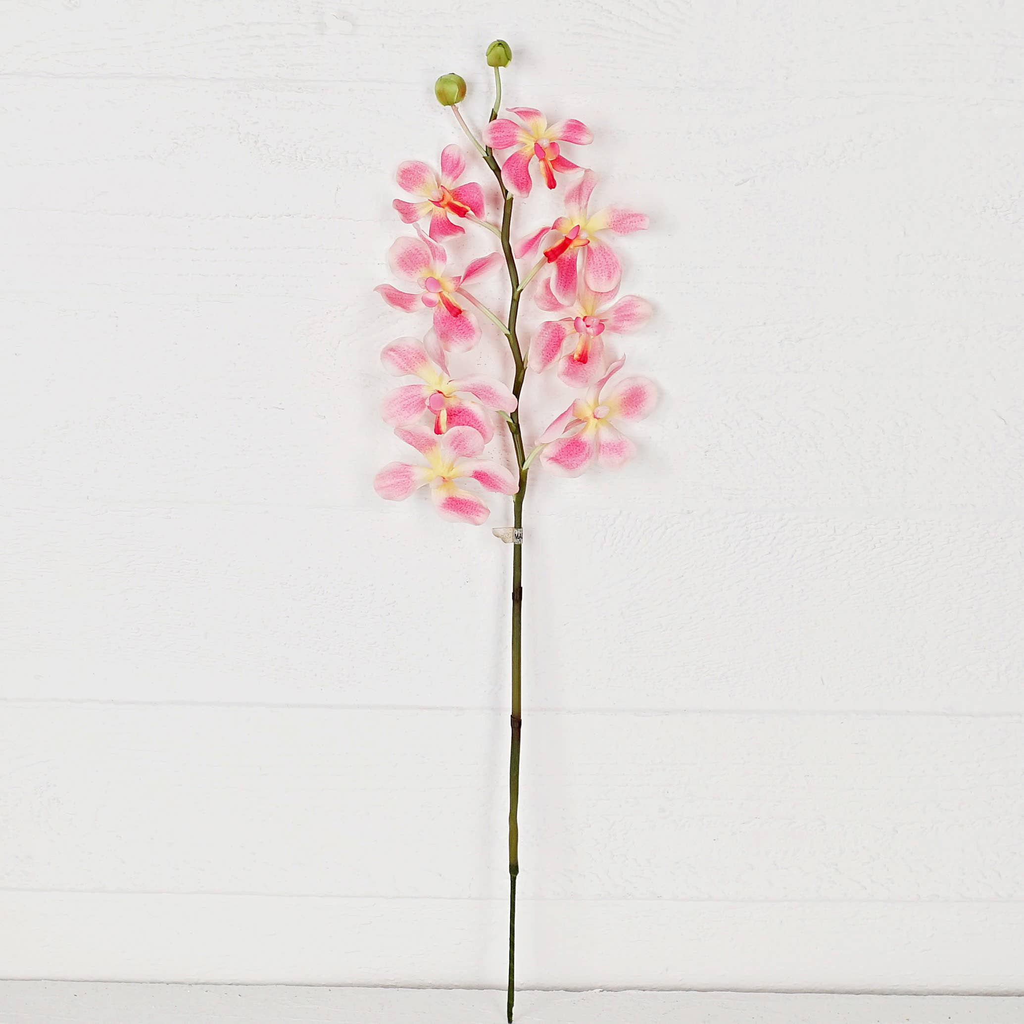 IT006PK- 24" Orchid Spray- Pink