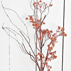 ISB69819- 24in Wild Millet Berry Bush-ORN-12/72pcs