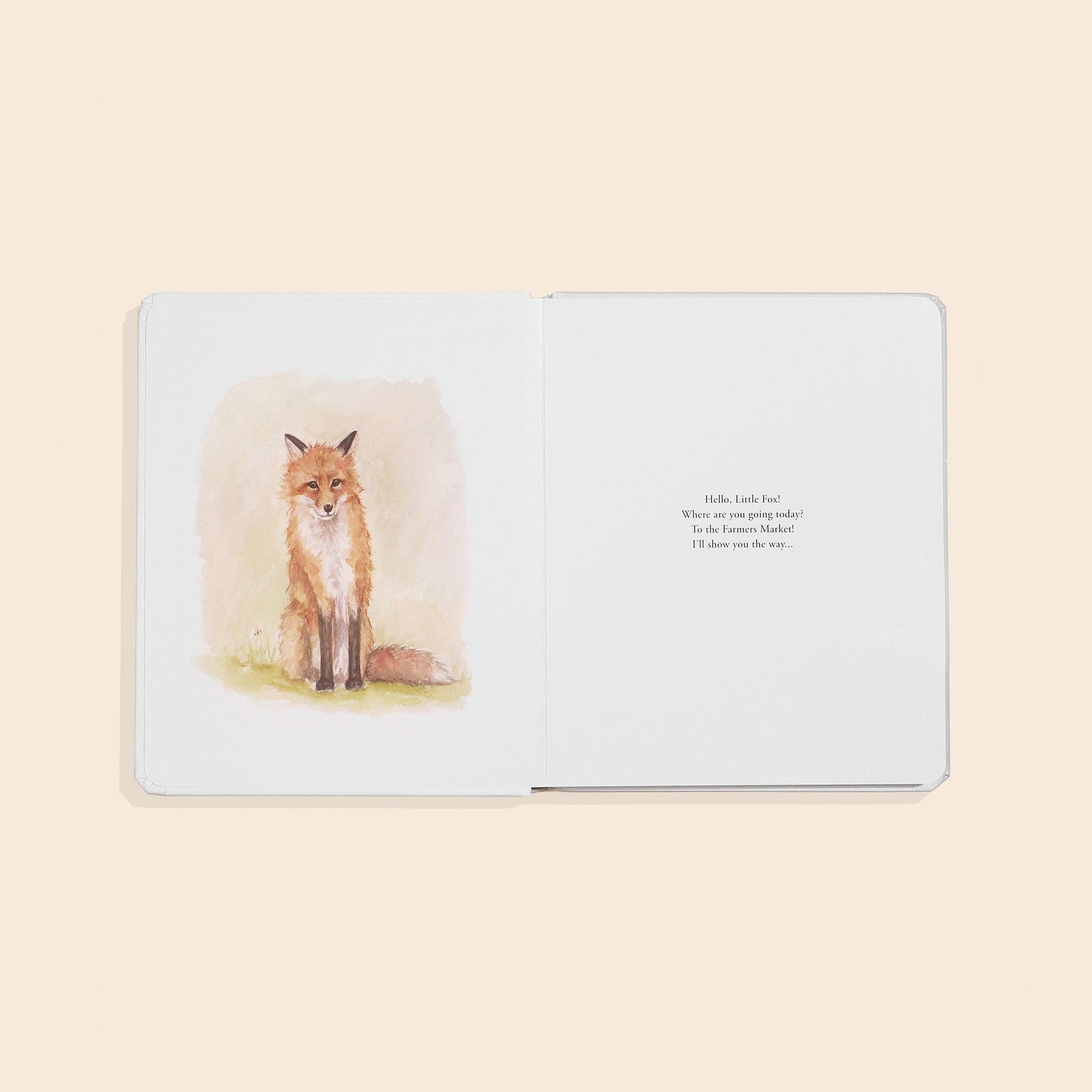 Our Little Adventure to the Farmers Market (Board Book)