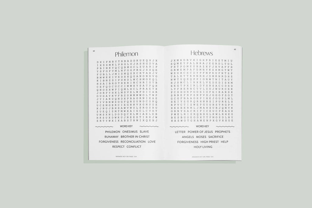 Bible Word Search for Adults (Christian Stocking Stuffer)