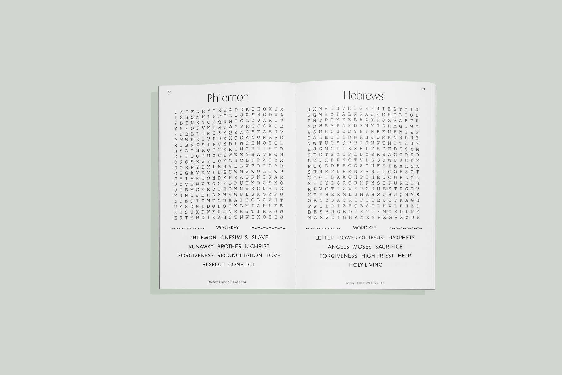 Bible Word Search for Adults (Christian Stocking Stuffer)