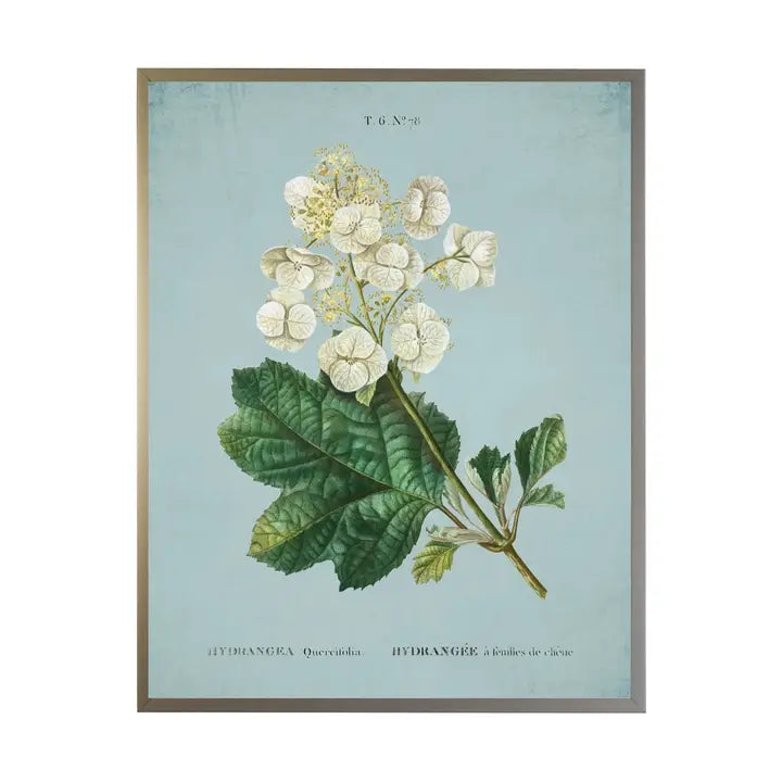 White Hydrangea On Spa Background