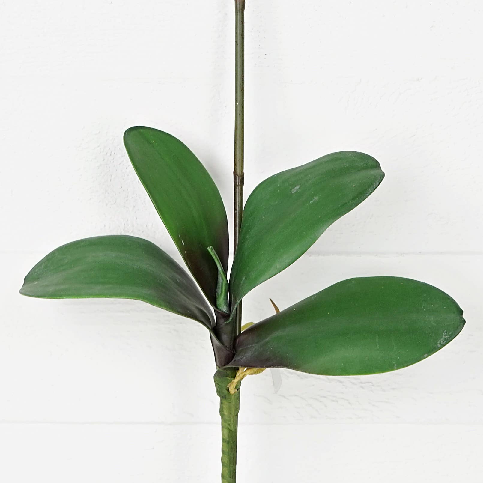 IT018PK- 34" Phalaenopsis orchid stem with leaves - Pink