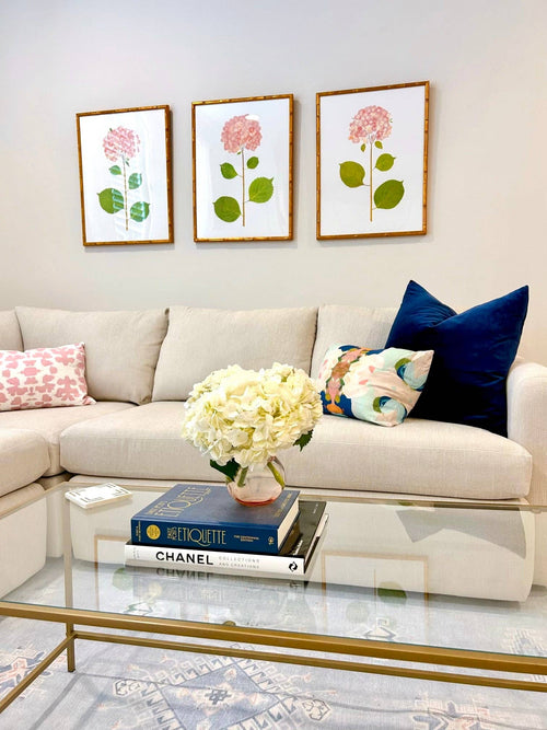 "Blush Hydrangea"