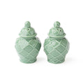 Green Textured Jar Salt & Pepper Shaker Boxed Set