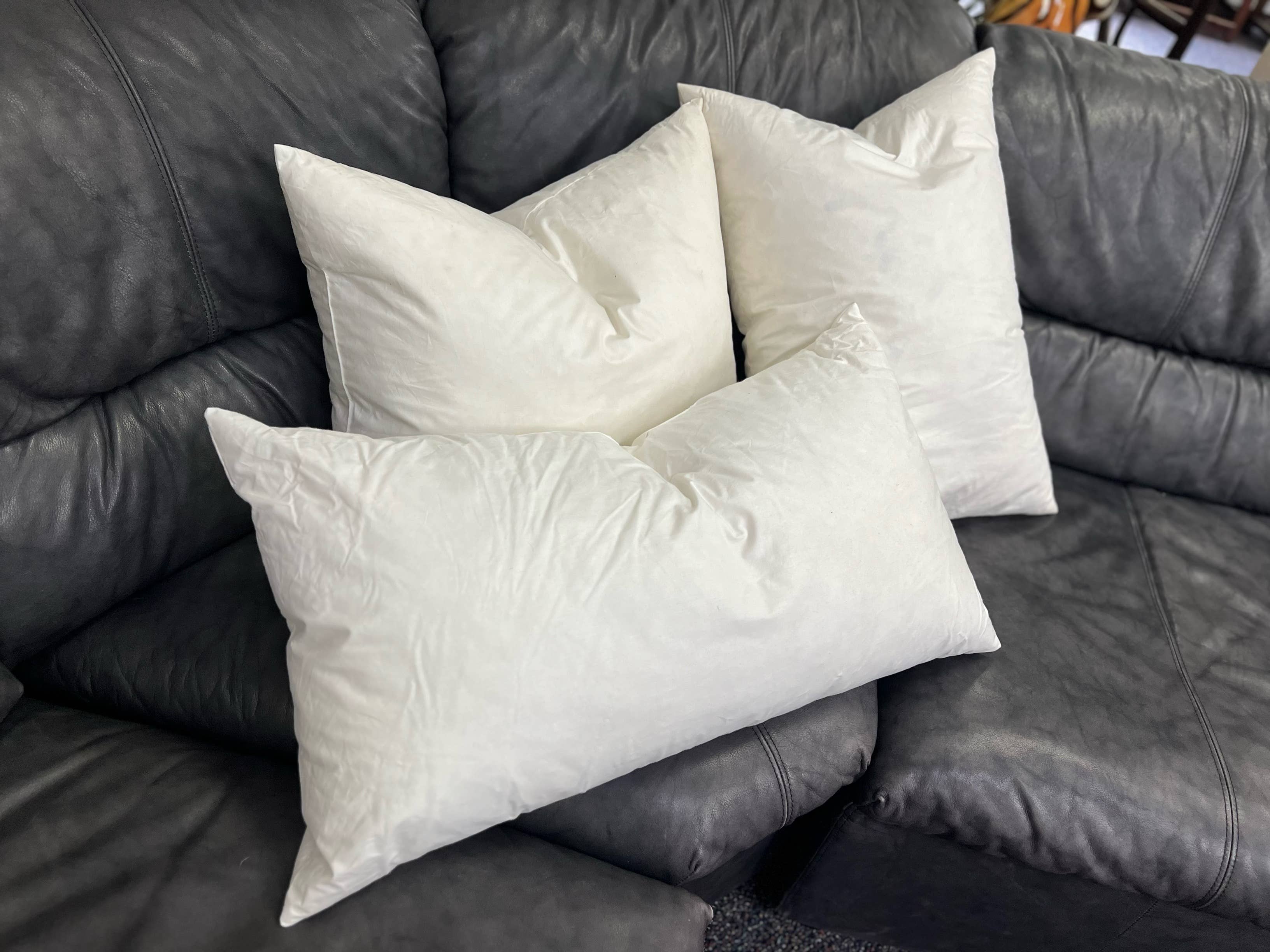 Down Feather Decorative Pillow Inserts - Oblong