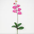 IT018PK- 34" Phalaenopsis orchid stem with leaves - Pink