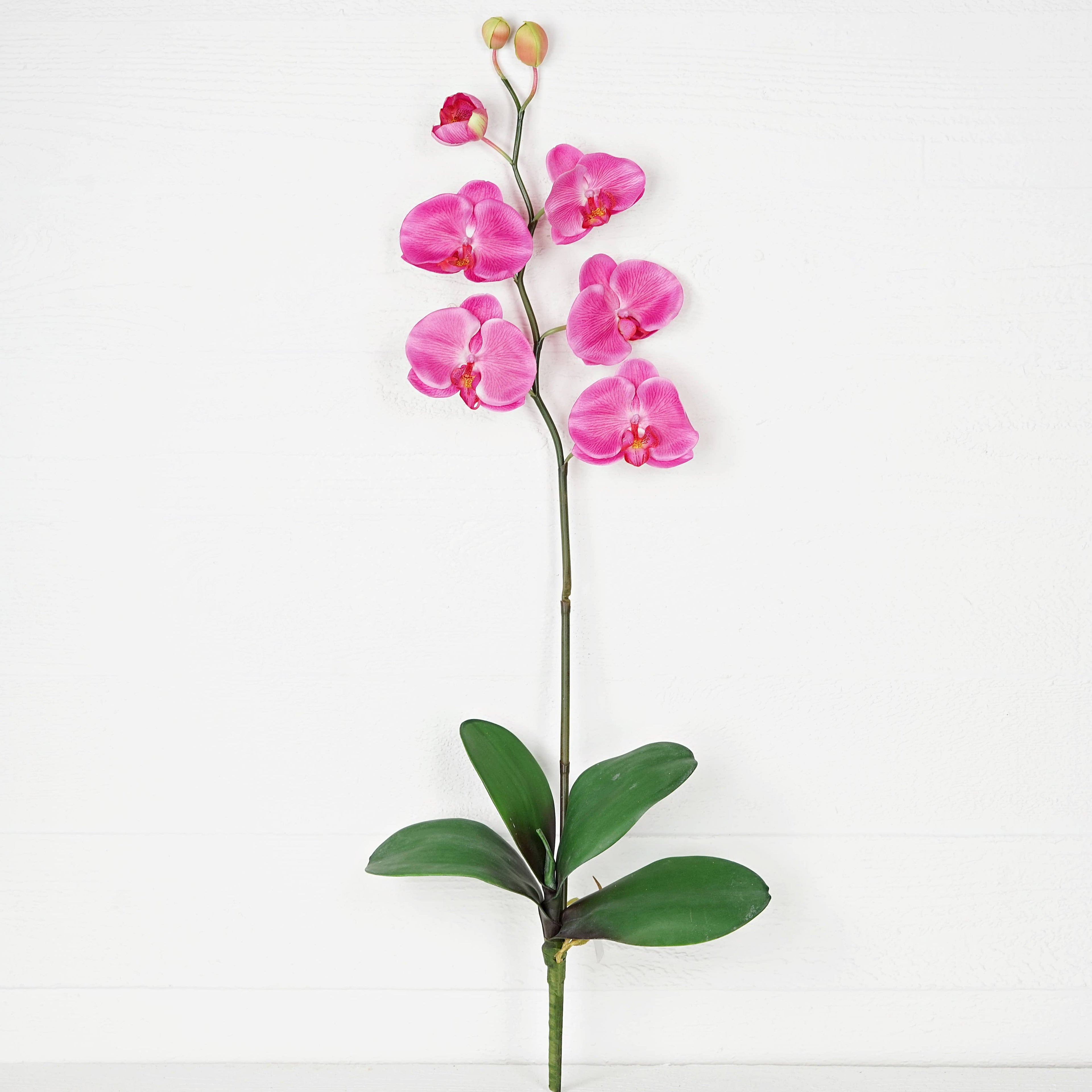 IT018PK- 34" Phalaenopsis orchid stem with leaves - Pink