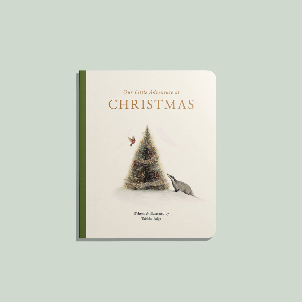 Our Little Adventure at Christmas (Baby's first Christmas)
