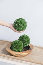 D5" Artificial Boxwood Topiary Ball - Green