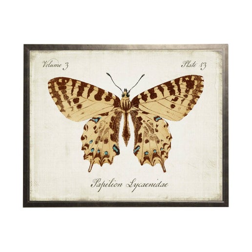 Vintage Bookplate With Butterfly
