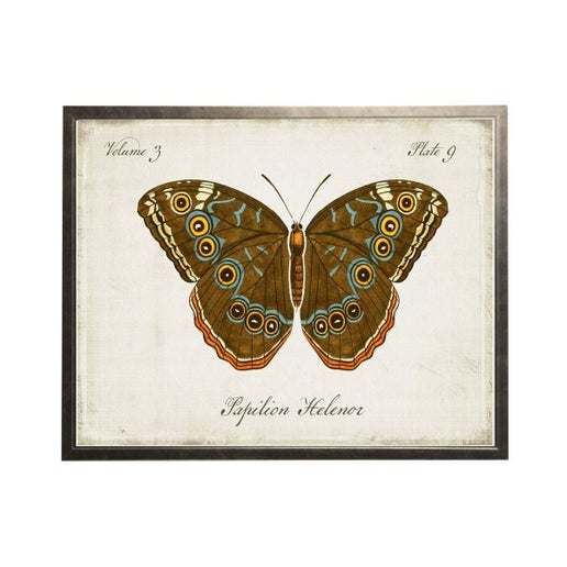 Vintage Bookplate With Dark Brown And Blue Butterfly